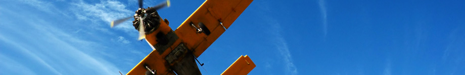 NEXTNEXUS Rotating Header Image